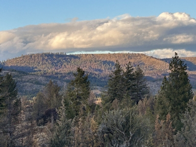 Wheeler Point