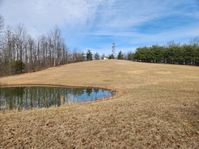 Worthington Knob