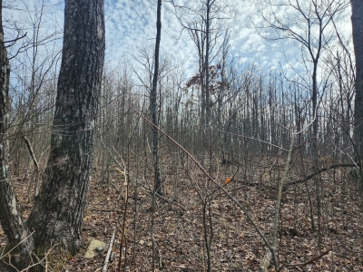 Holloway Ridge, South