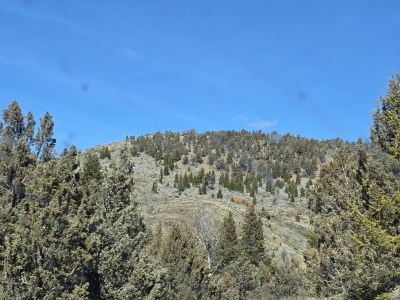 6445