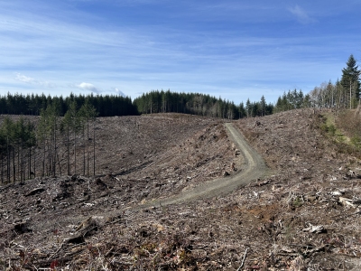 Cook Hill