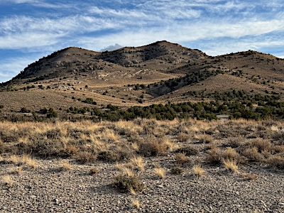Buster Mountain