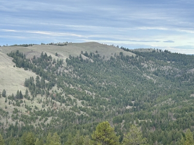Freezeout Ridge