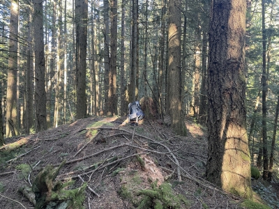Chuckanut Mountain, North