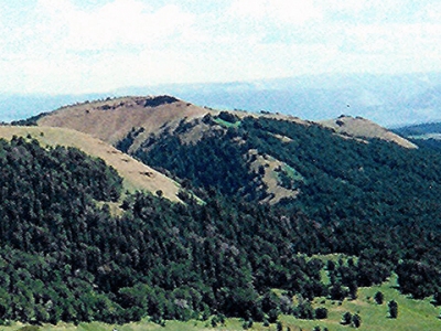 Red Hills, East