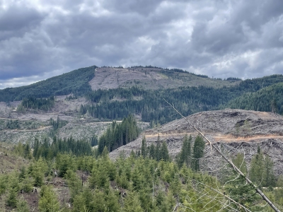 Sourdough Ridge