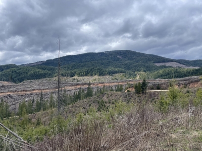Green Mountain