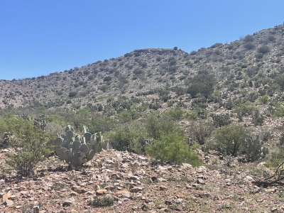 Quartzite Ridge