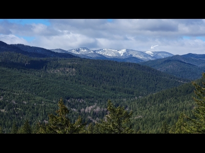 Peaches Ridge