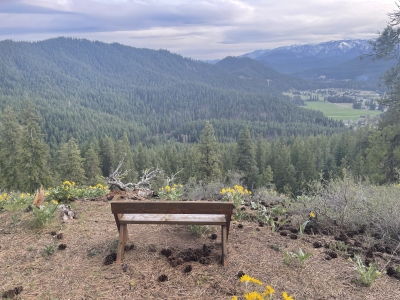 "Bee Sting Hill"