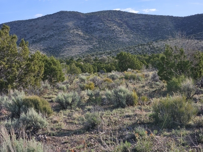 Empy Mountain