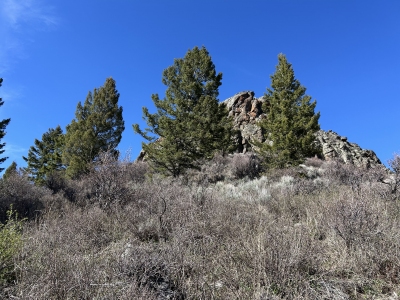 Campbells Hump