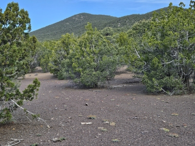 Mosey Mountain