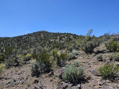 Little Mountain
