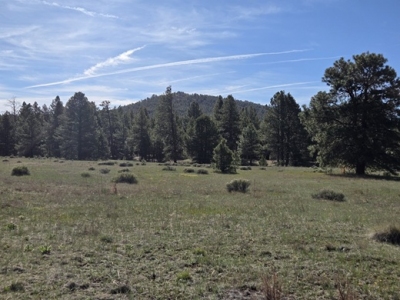 Mooney Mountain