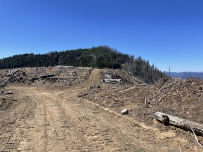 Benton Butte