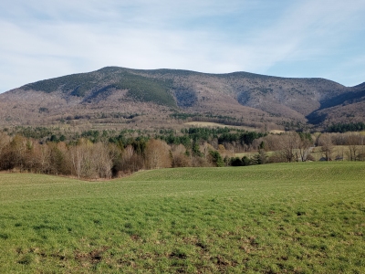 Dorset Peak