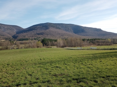 Dorset Mountain, West
