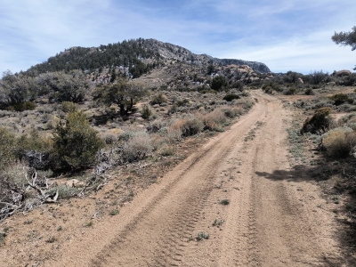 Pine Peak