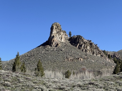 Needles, The