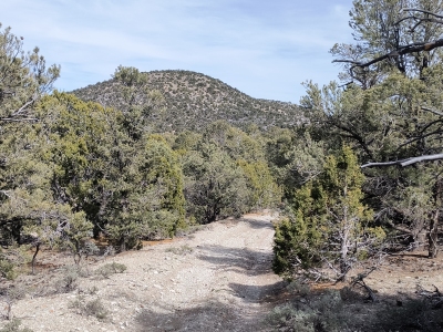 Orr Ridge, East