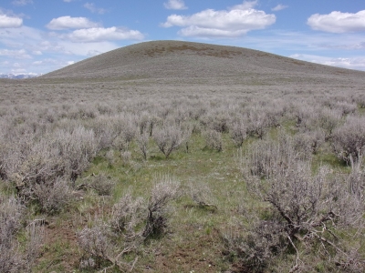 Blacks Knoll