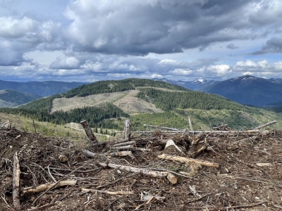 Beaver Butte