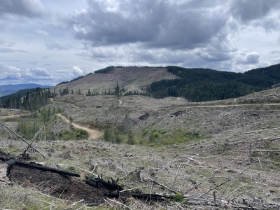 Thompson Butte