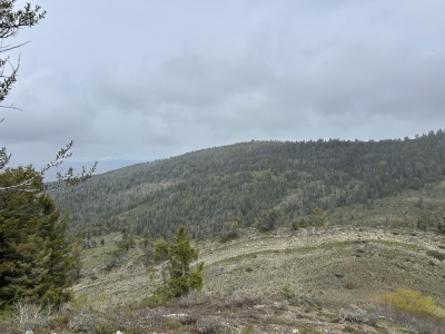 Blanchard Ridge