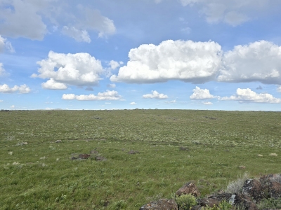 Swisher Mountain