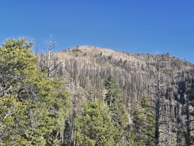Chokecherry Peak