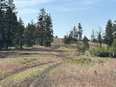 Johnson Ridge