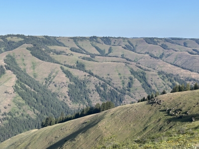 Gibbon Ridge