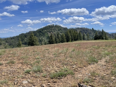 Weller Butte