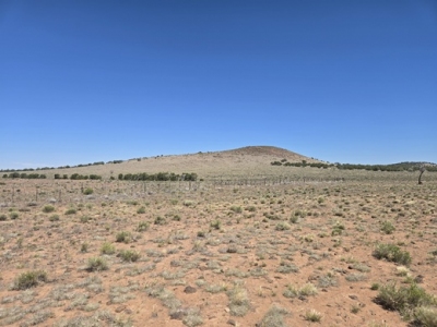 Double Knobs, North