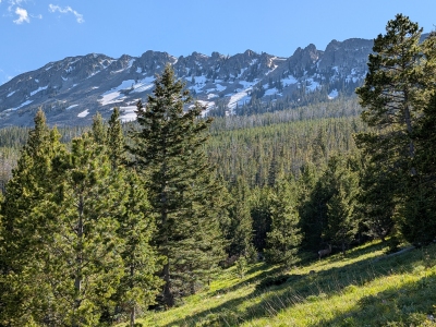 Virginia Peak