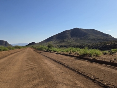 Harris Mountain