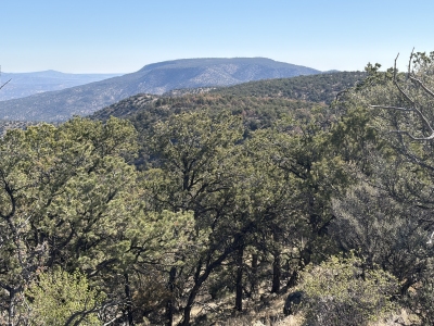 Blue Mesa