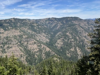 Trapper Ridge