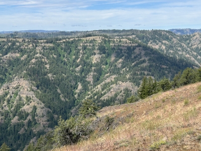 Yearling Ridge