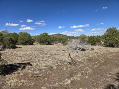 Milligan Knoll