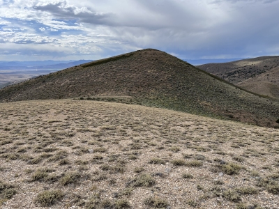 Fusulina Peak
