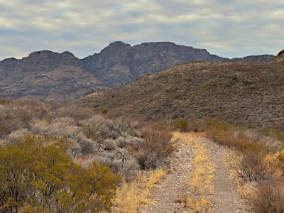 Chinati Peak