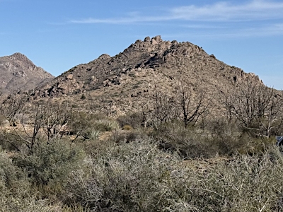 "Playground Peak"