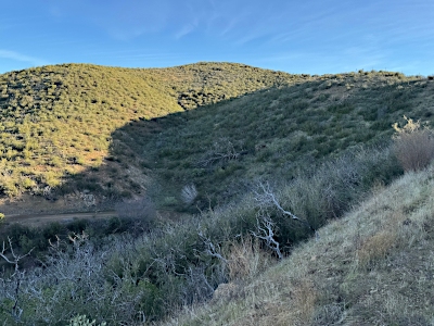 Stakes, Mount