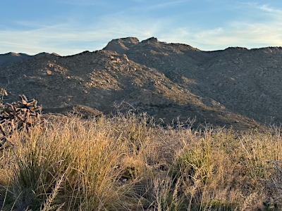 Cluff Peak