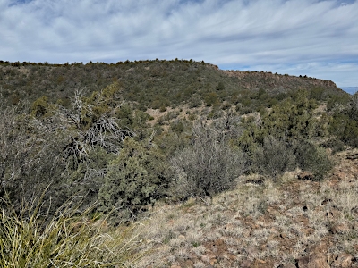 Little Mesa