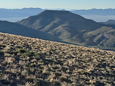 Little Table Mountain