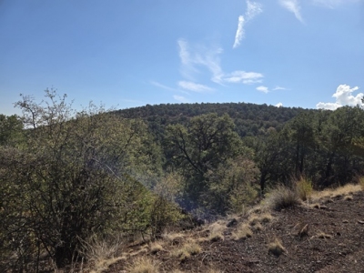 Dobbins Knoll
