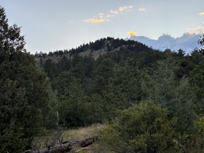 "City Lights Ridge"